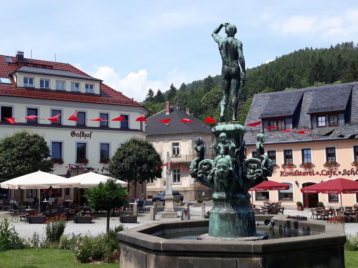 Gasthof Hillig Bad Gottleuba-Berggiesshuebel Exterior photo